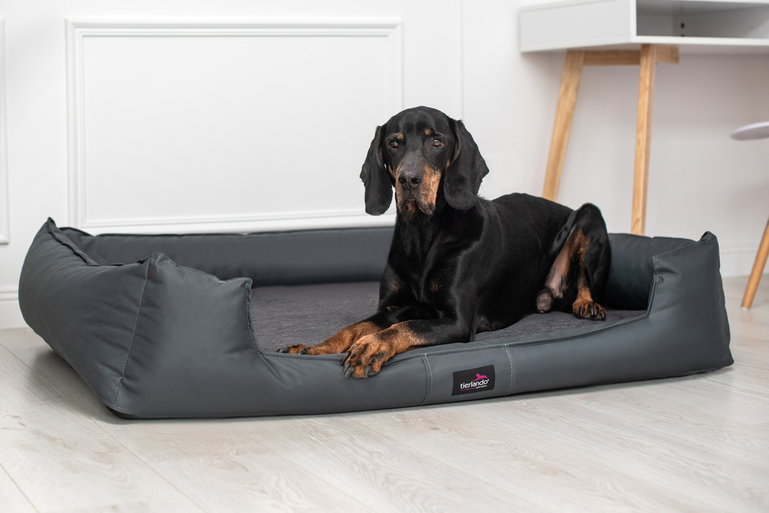 trockenfutter bosch bosch Active – Trockenfutter für aktive Hunde main image 0