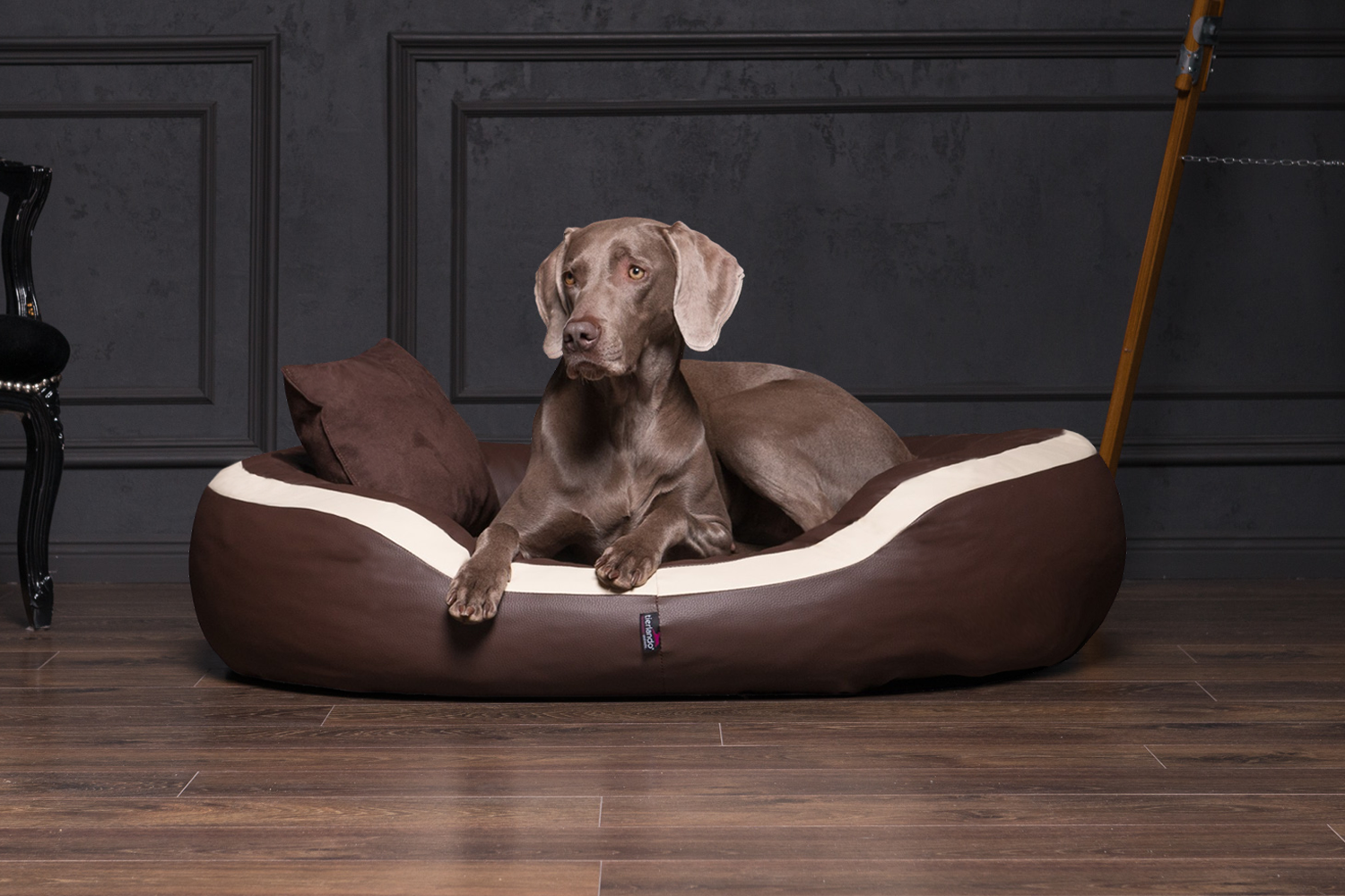 tierlando PEPPER Orthopdisches Hundebett Hundesofa L XL XXL Kunstleder |  eBay.de